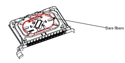 BARE FIBERS INSIDE THE SPLICE TRAY
